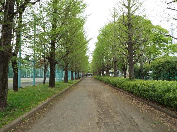 メゾンリヴェール(武蔵野公園)