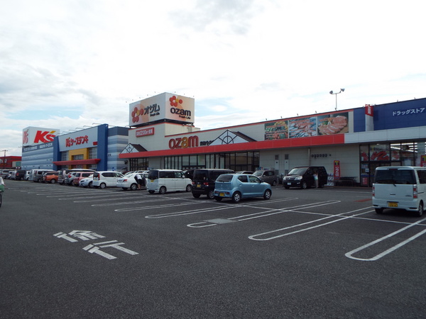 佐野ビル(スーパーオザム青梅今寺店)