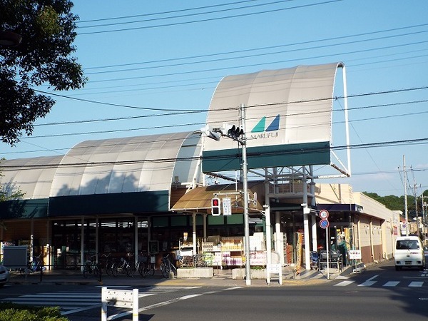 田園コーポ(マルフジ南田園店)