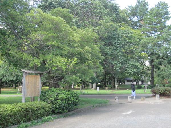 レクエルド(わかぐさ公園)