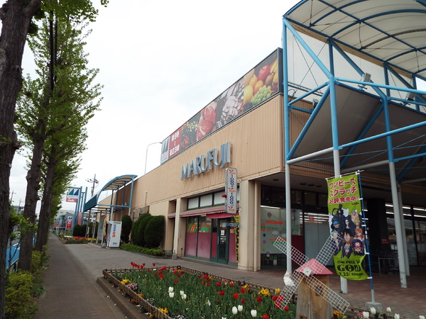 ウイングメゾン(マルフジ羽村店)