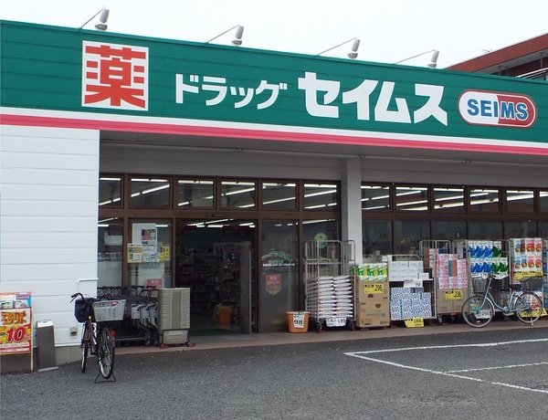 二宮貸家(ドラッグセイムスあきる野小川店)