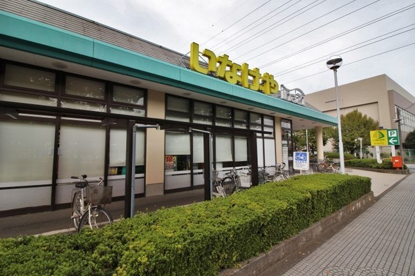 羽村市神明台３丁目のハイツ(いなげやina21羽村富士見平店)