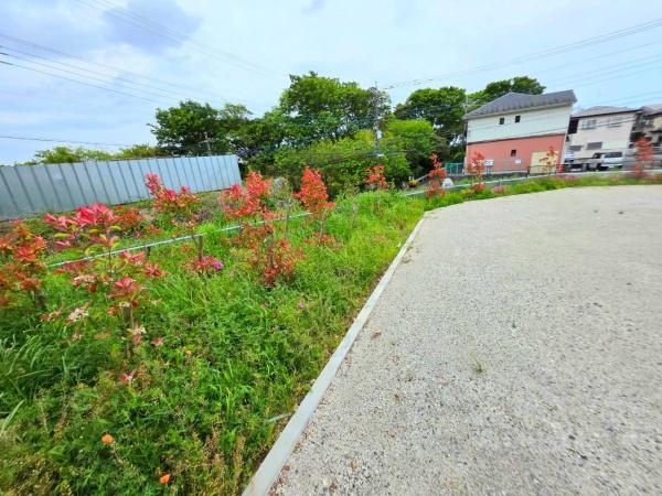 厚木市棚沢貸地　325坪