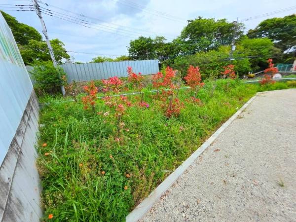 厚木市棚沢貸地　325坪