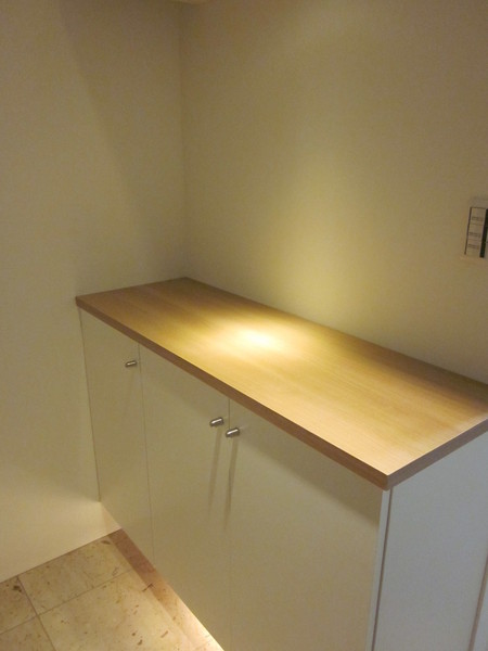 ライオンズマンション白金