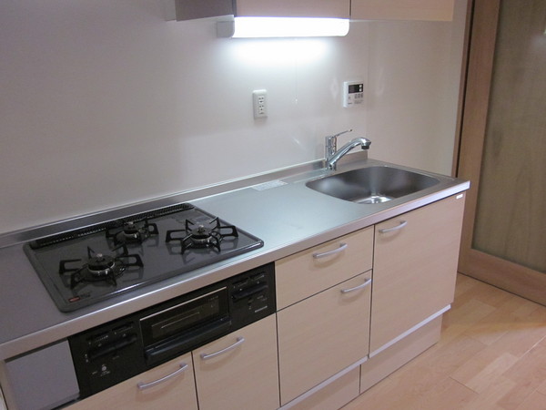 ライオンズマンション白金