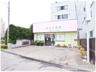 たつみビル(みどり薬局)