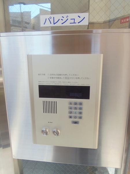 パレジュン