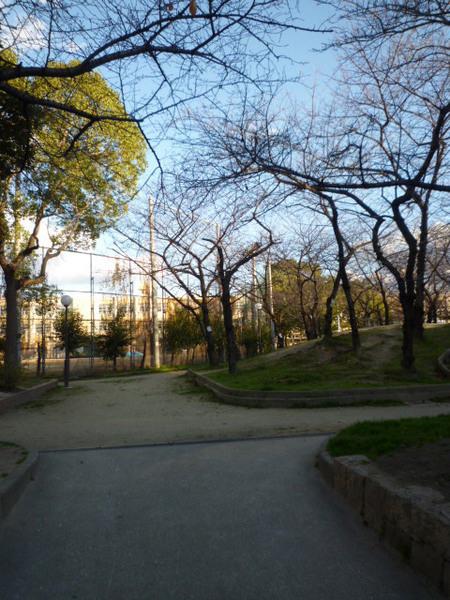 はっぴーこーぽ4(平尾公園)