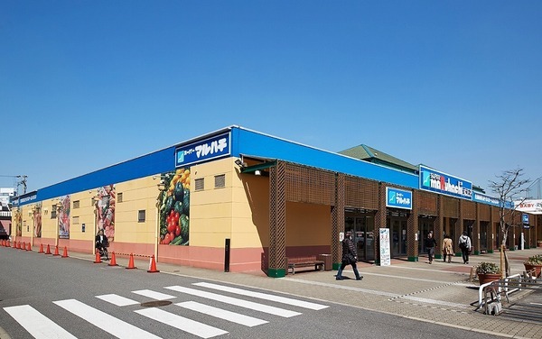 大阪市大正区千島1丁目のマンション(スーパーマルハチ大正店)