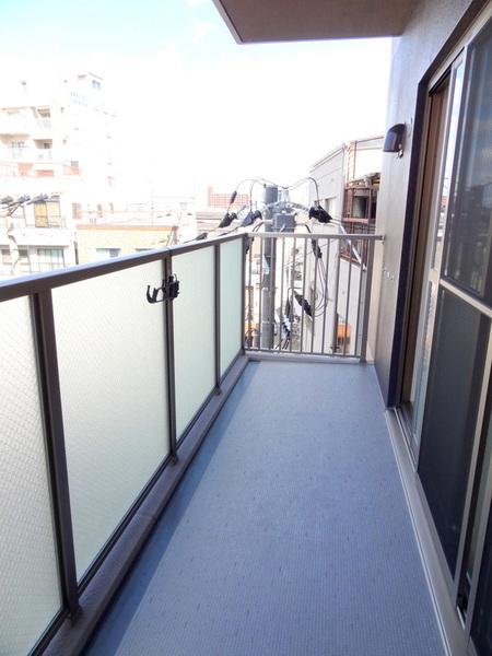 コージー千島