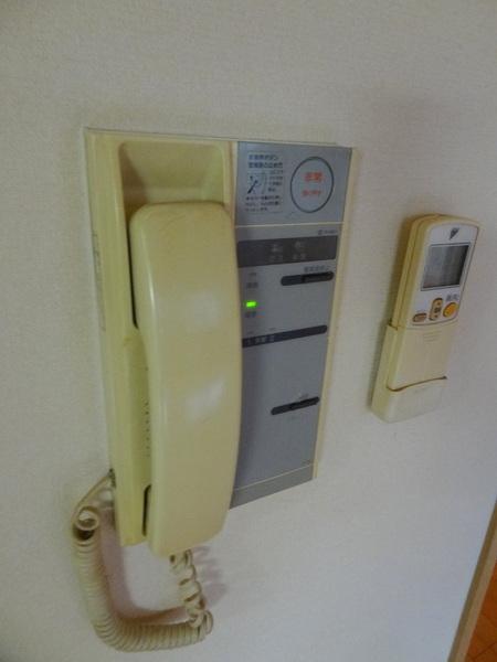 フラット花