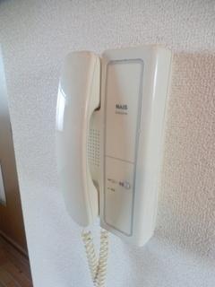 パレジュン