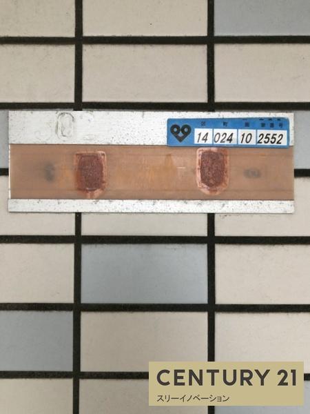 PALMIZIO大正