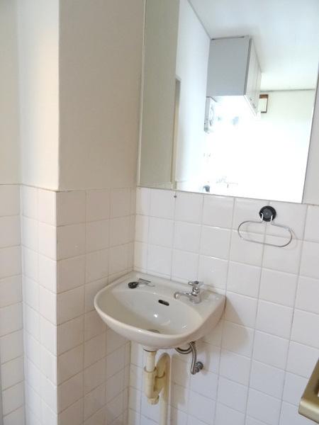 山城マンション(洗面台・洗面所)