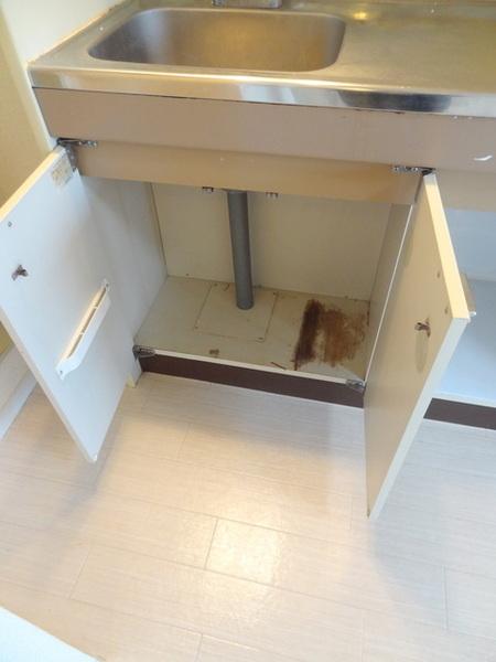 メゾンルリエル