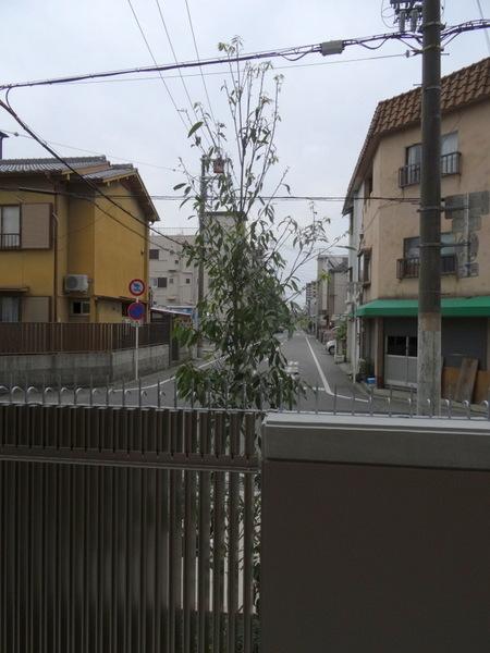 レジュールアッシュTAISHO　LEGANT