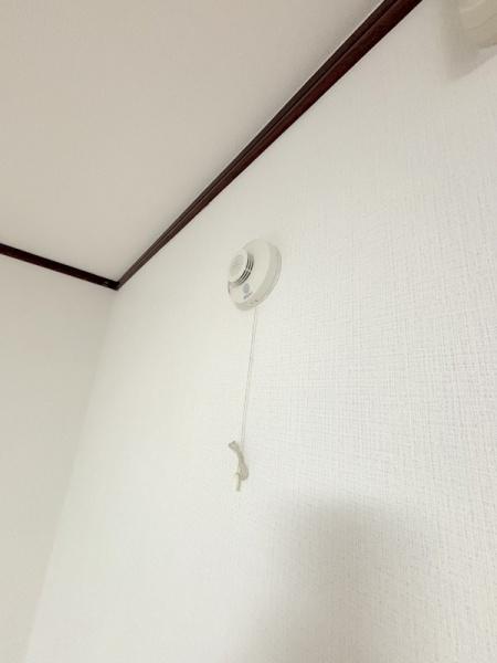 LilacPart1