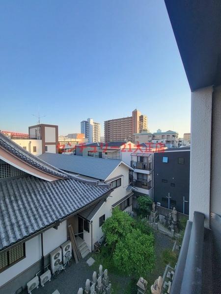 ゼブラ