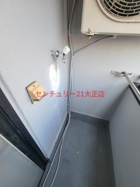 ゼブラ