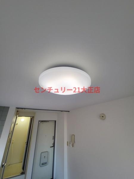 ゼブラ