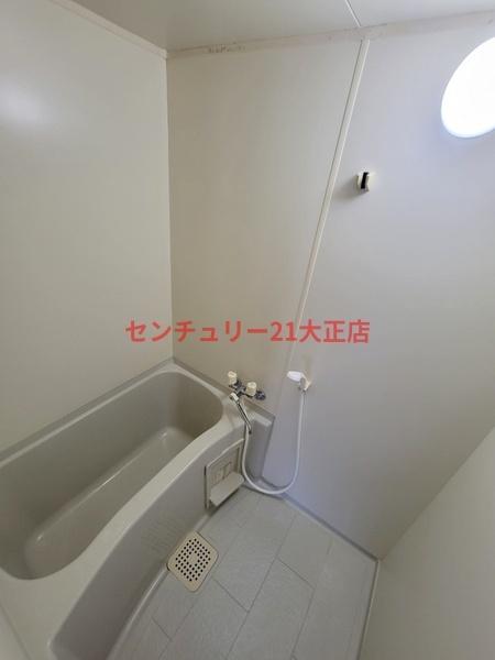ゼブラ