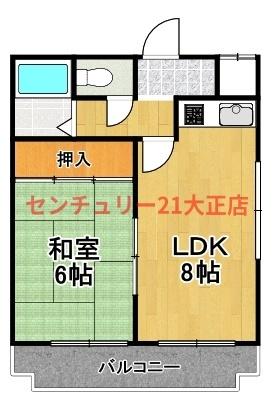 COSMO蓮井
