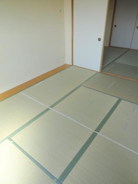 メゾンドーム三軒家