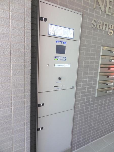 NEXUSSangenya
