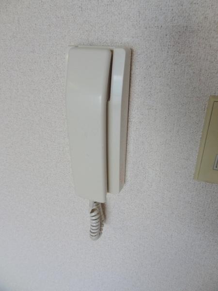 PALMIZIO大正