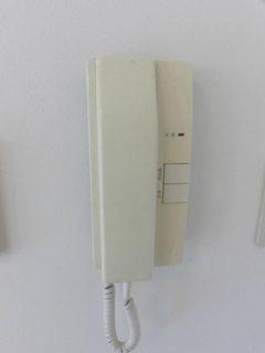 シャスール大正