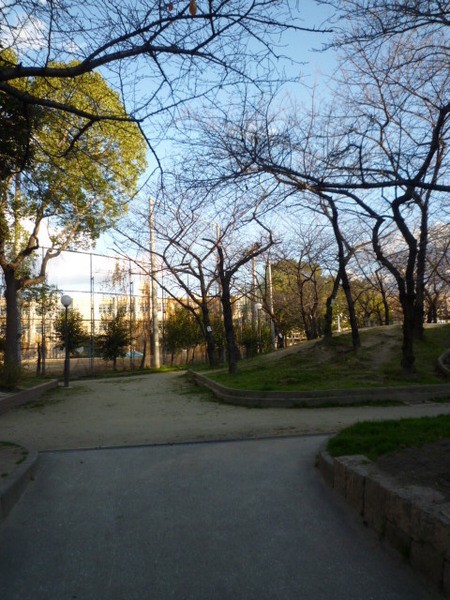 南恩加島6丁目貸家(平尾公園)