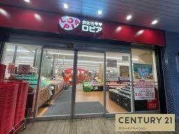 新築賃貸長屋(ロピア大阪ベイタワー店)