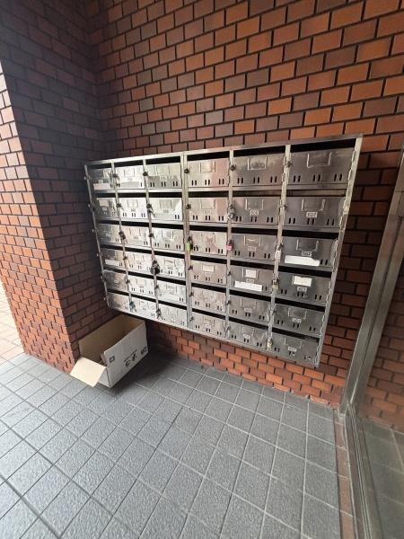 COSMO蓮井