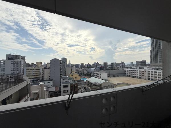 コージーコート