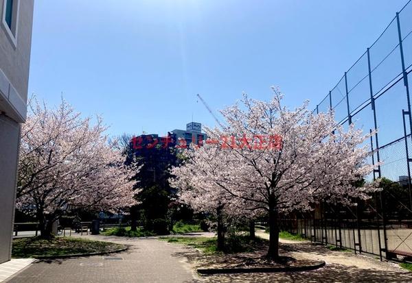 阿波座ライズタワーズ　フラッグ４６ＯＭＰタワー(松島公園)