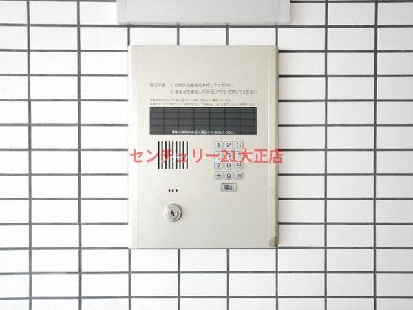 セントポーリア夕凪