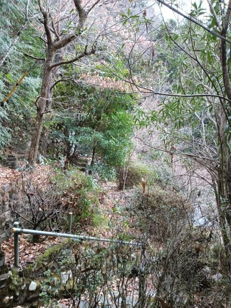 左京区鹿ケ谷徳善谷町