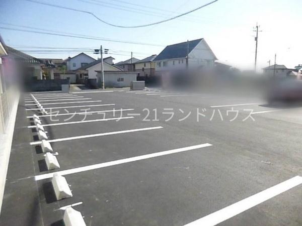 フォレスト7