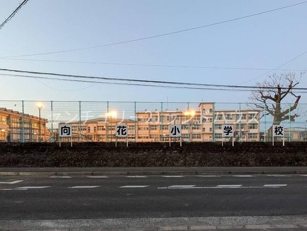 霧島市国分府中町の貸家(向花小学校)