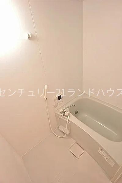 フォレスト7