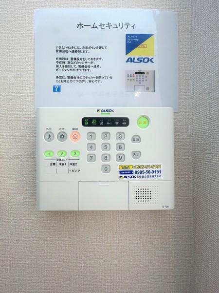 アルティスタ