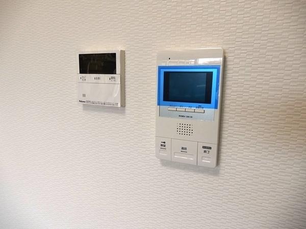 アルテマイスターカメリア