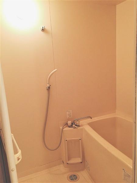 パストラル柳丸1(その他)