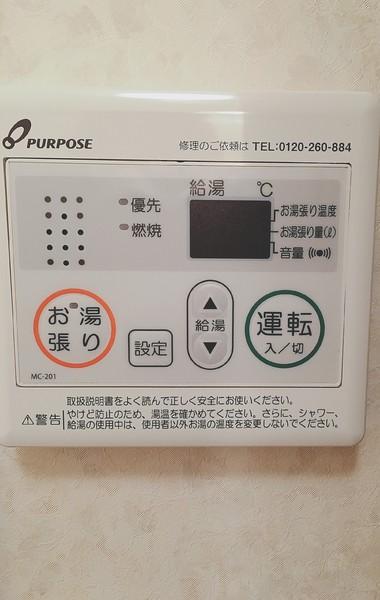 パストラル柳丸1(その他)