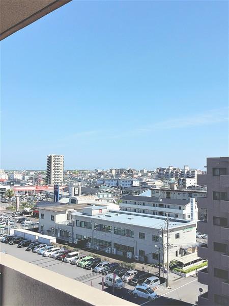 パストラル柳丸1(その他)