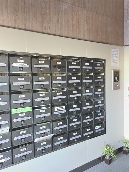 パストラル柳丸1(その他)