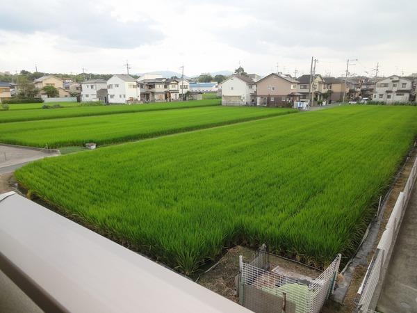 羽曳野市河原城のハイツ