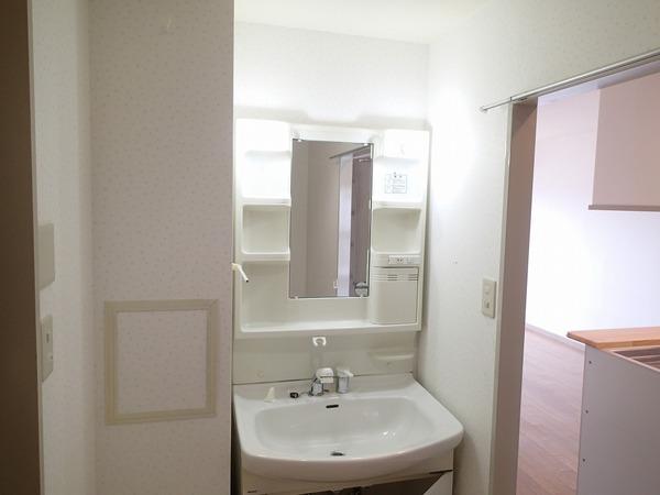 ベルメゾン道明寺(洗面台・洗面所)